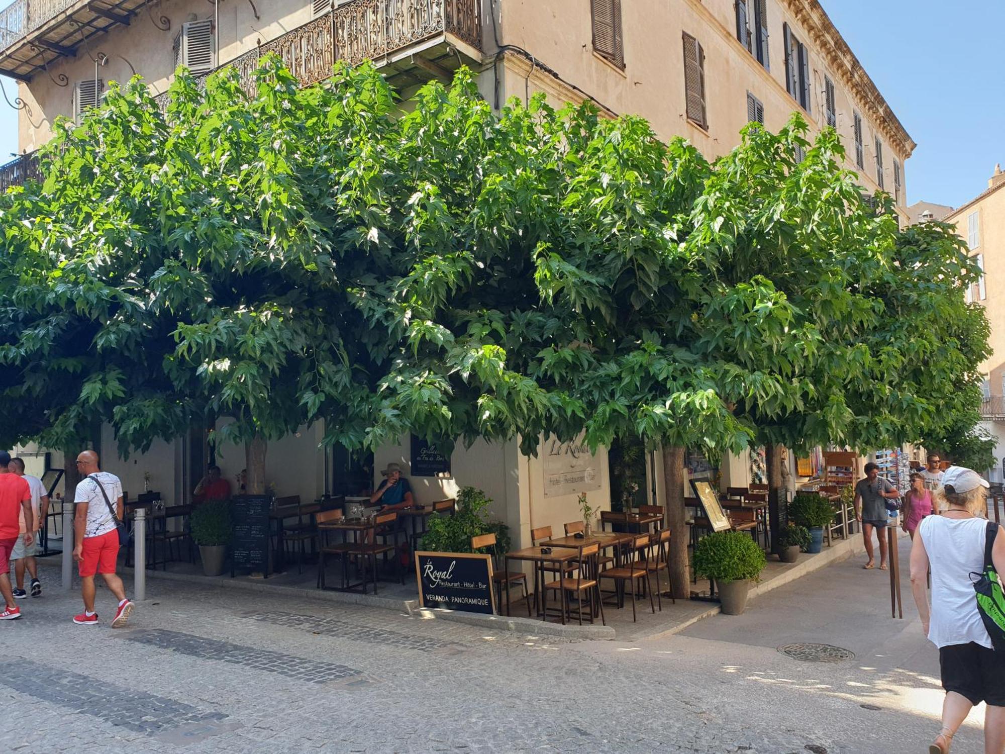 Le Royal Restaurant Bonifacio (Corsica)